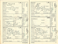 Ahnenpass Irimbert Patscheider Seite 30