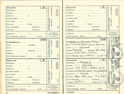 Ahnenpass Irimbert Patscheider