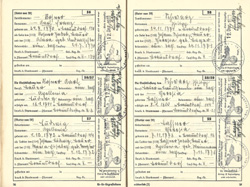 Ahnenpass Irimbert Patscheider Seite 36