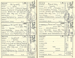 "Ahnenpass" (ancestry certificate) Irimbert Patscheider page 23