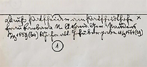 Stammbaum Patscheider 1550-1920 von Josef Wopfner - Seite 2
