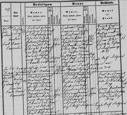 Klicken Sie auf das Foto um es zu vergrößern Kirchenbucheintrag Losenstein, Heiratsbuch 1877